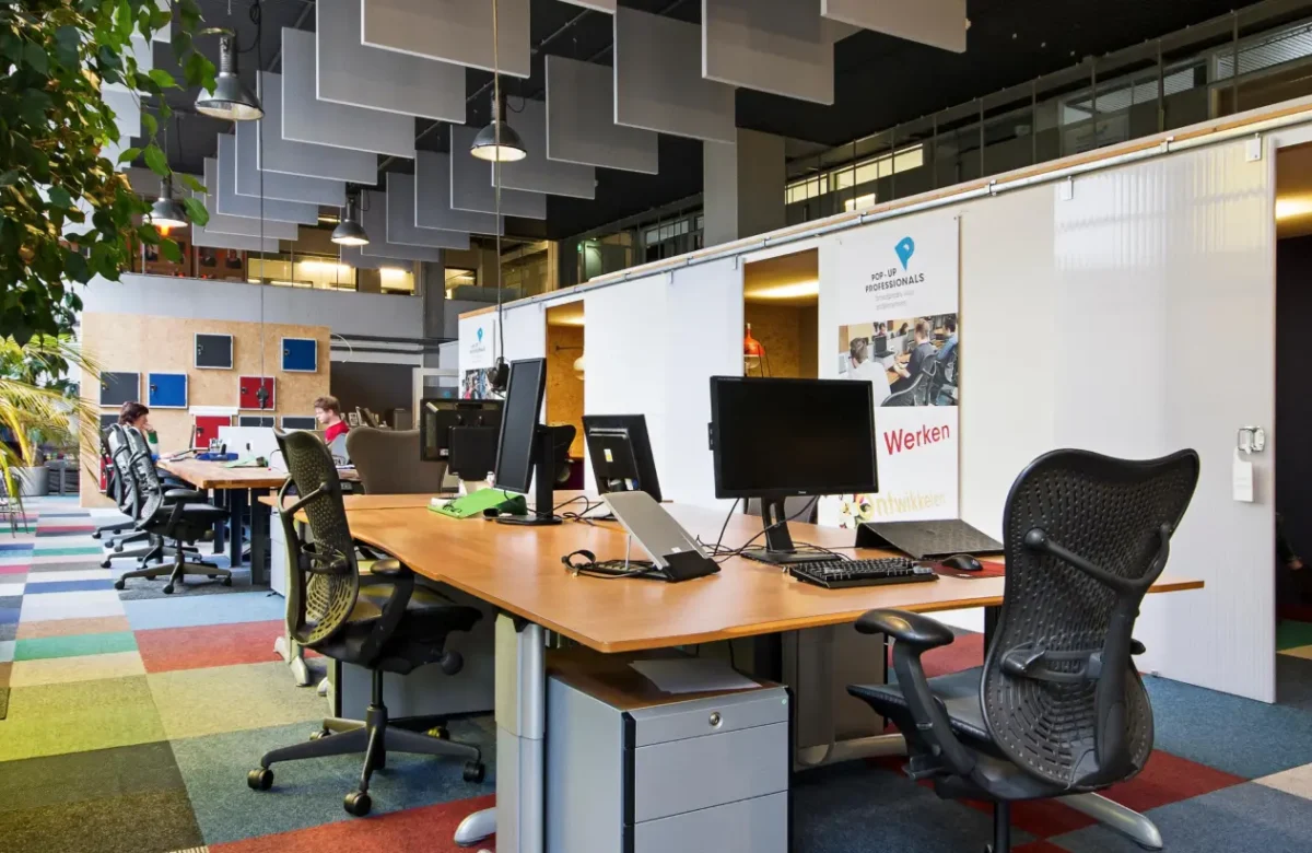 Visa Overstayers in New Zealand 2025