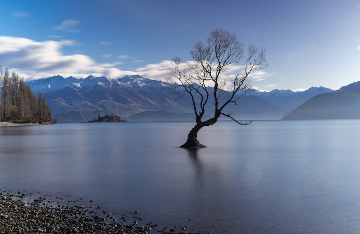 Top Reasons to Choose New Zealand as Your New Home